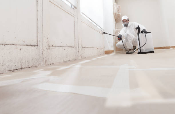 24/7 Emergency Commercial Mold Remediation experts in Richmond, TX